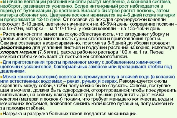 Кракен зеркало krk market com