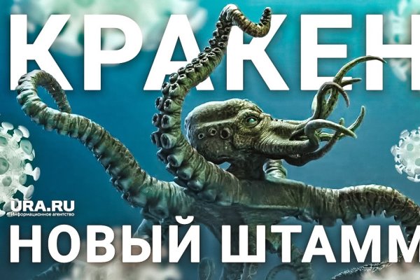 Что такое кракен маркет торкнет