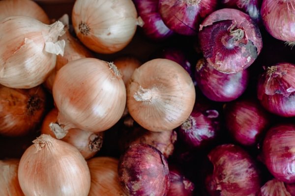 Кракен сайт официальный onion