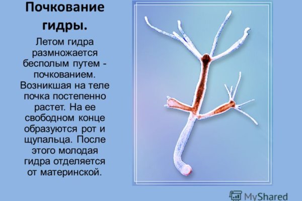 Что такое кракен в супернете